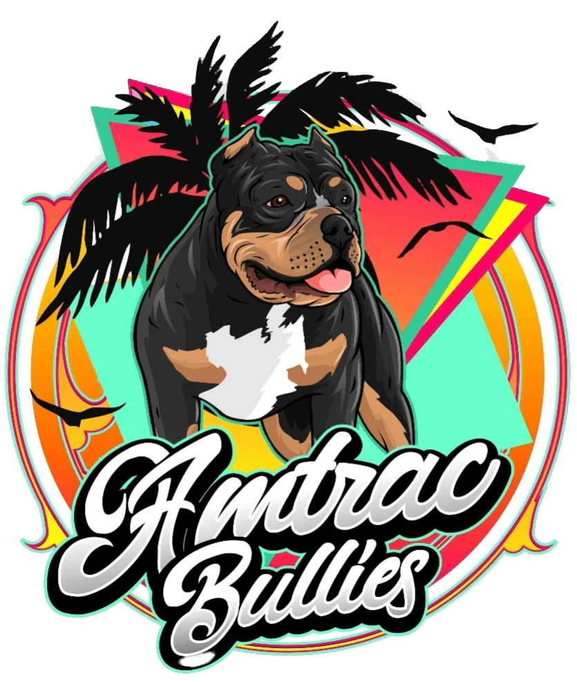 AMTRACBULLIES