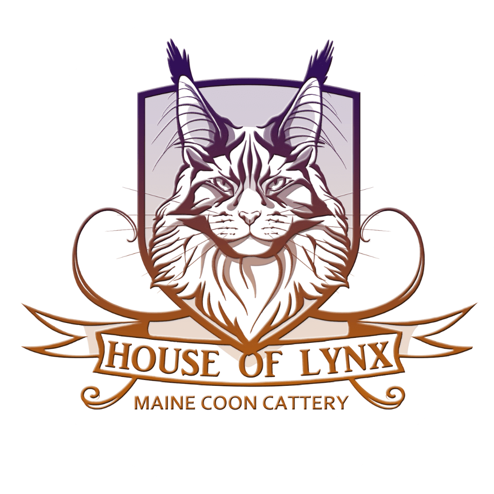 House of Lynx Maine Coon Cattery