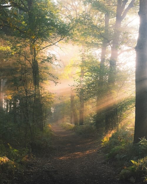 Enlightenment
