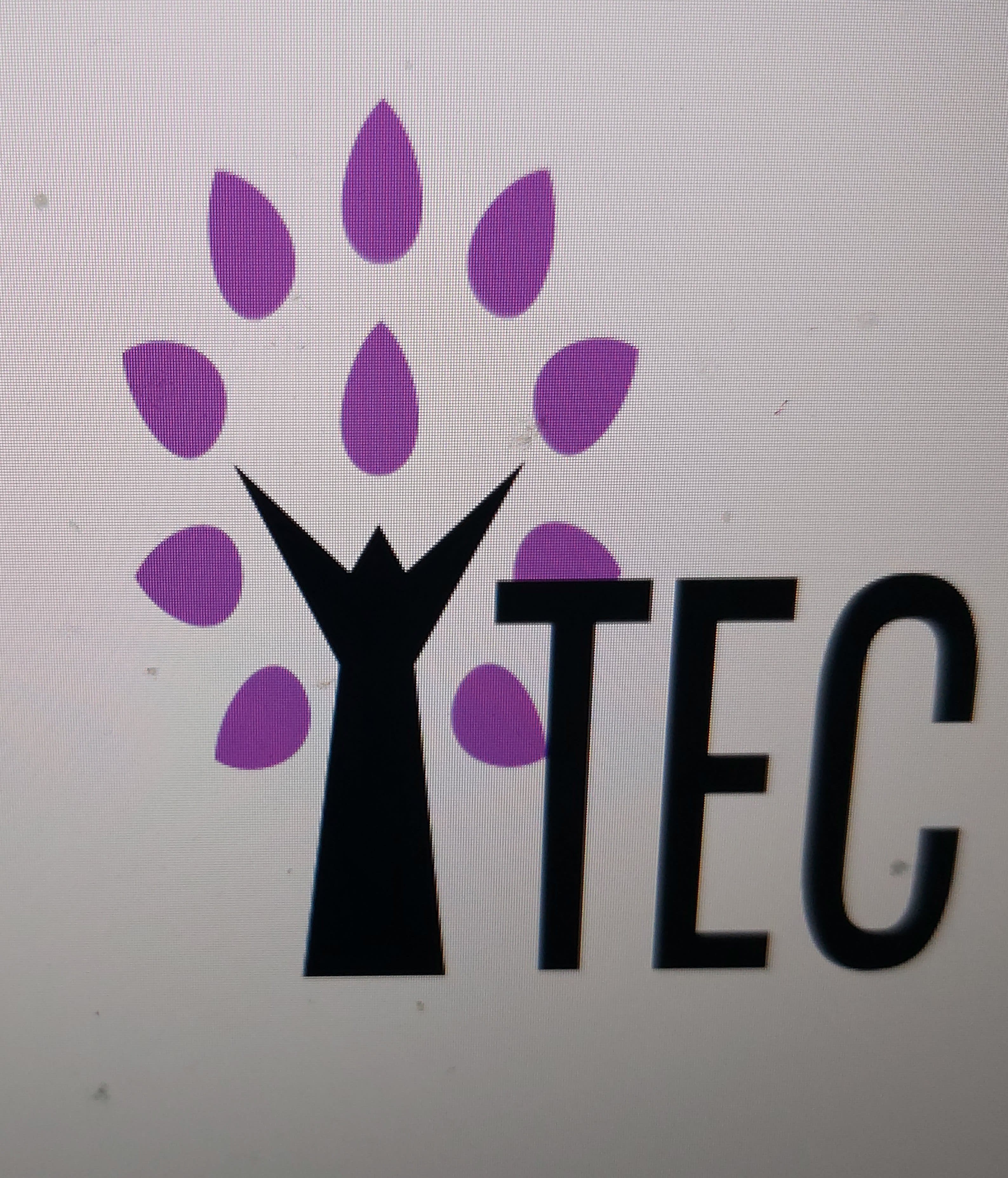 YTEC Community Interest Company