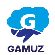 GAMUZ  ASESORÍA