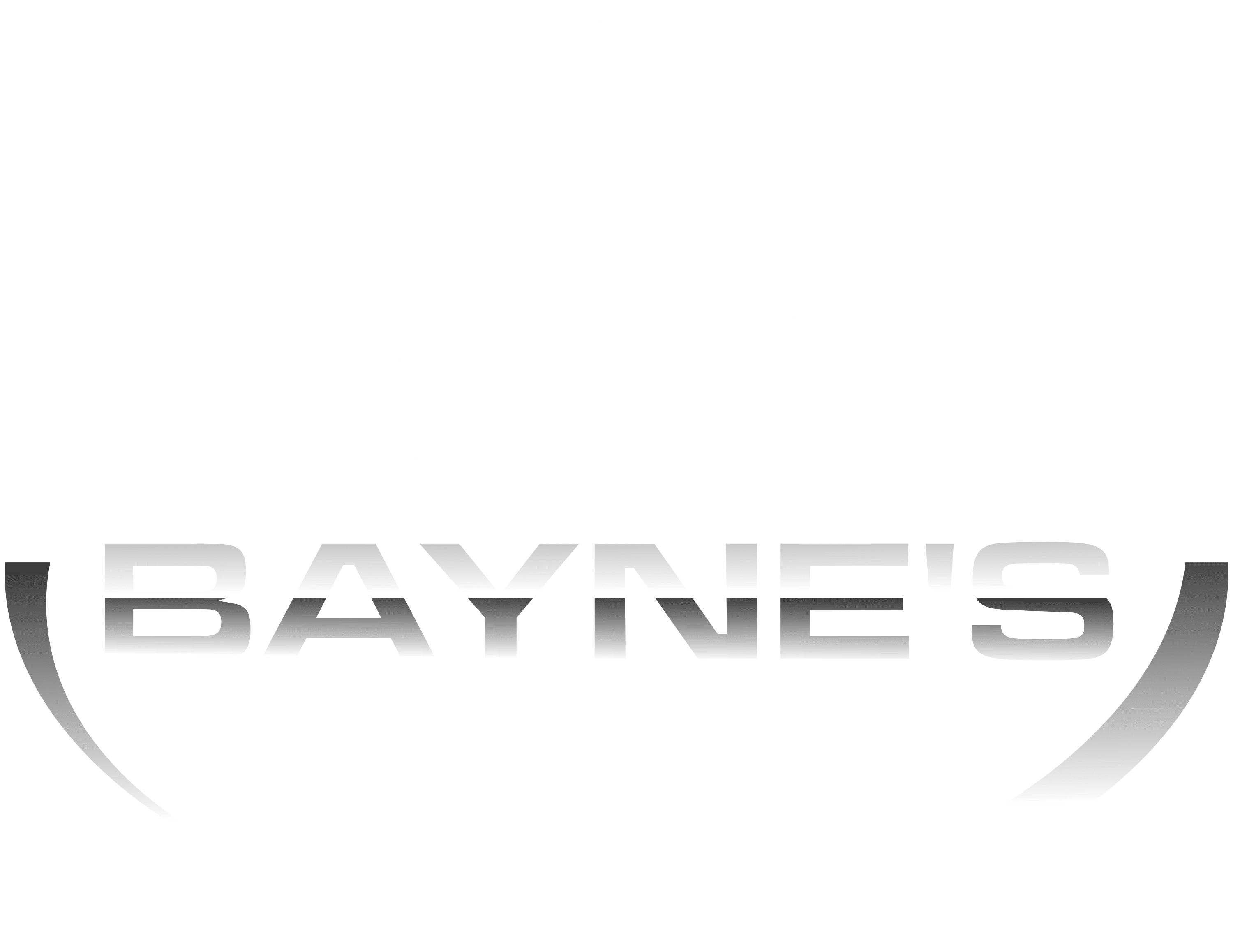 Bayne's Trucking Services