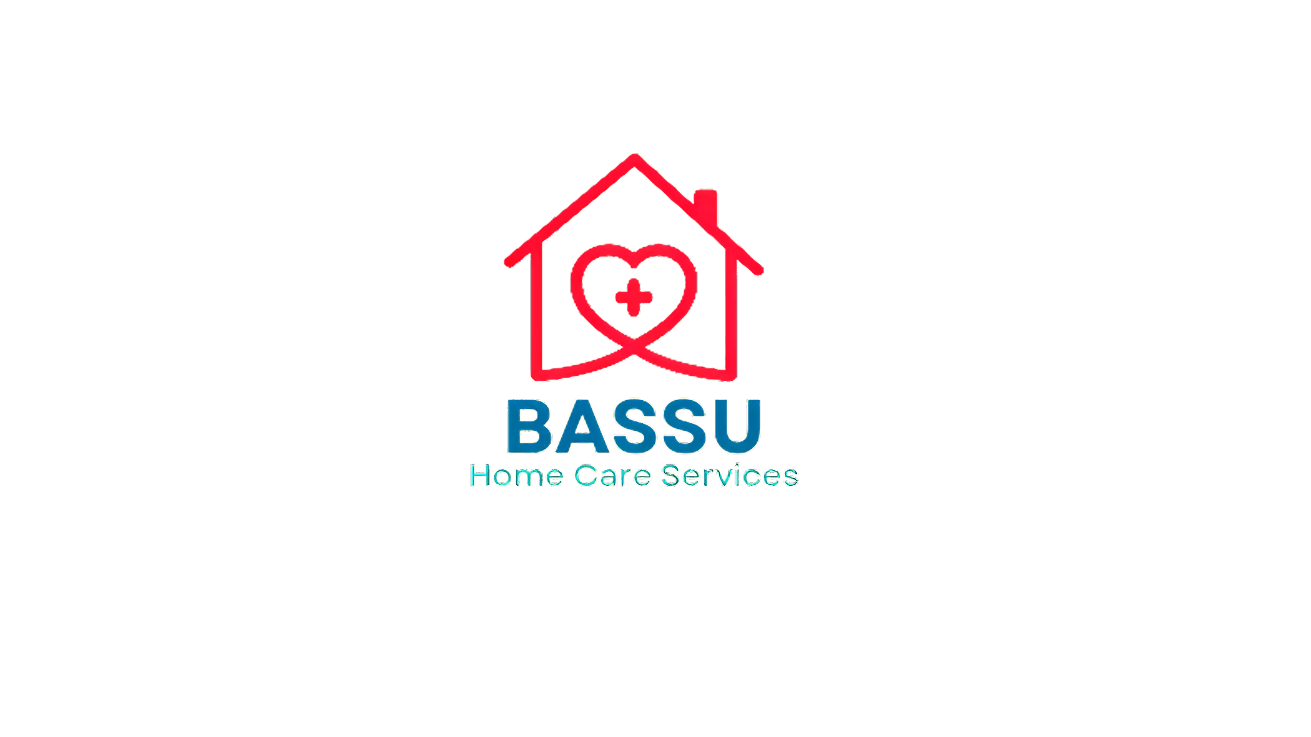 Bassu Home care services LLp