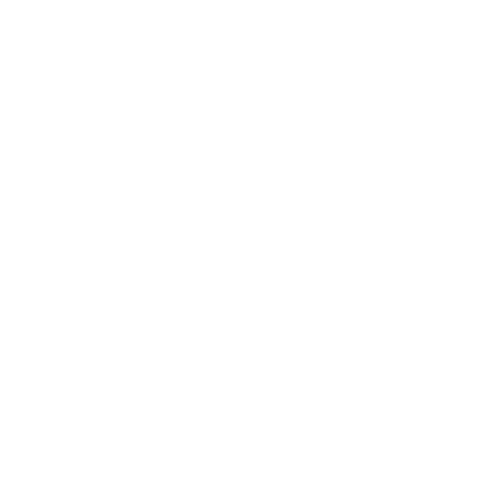 Royal Family Financial Services Inc