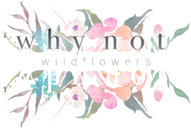 Why Not Wildflowers