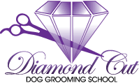 Diamond Cut Dog Grooming School