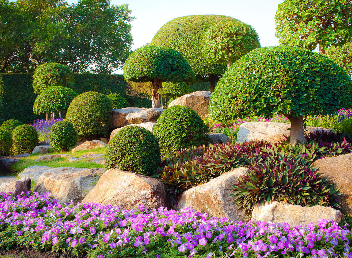 Picture of Landscape Consultation and Design - Landscape Installation & Design