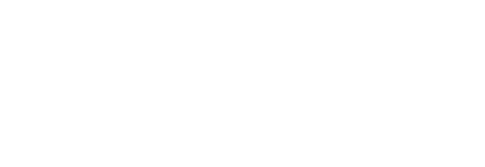 LZS Transportation Service