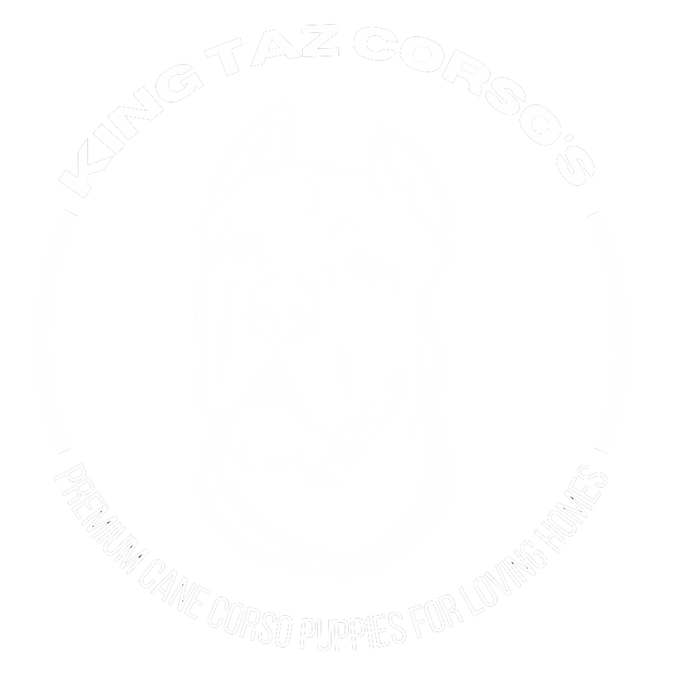 King Taz Corso's