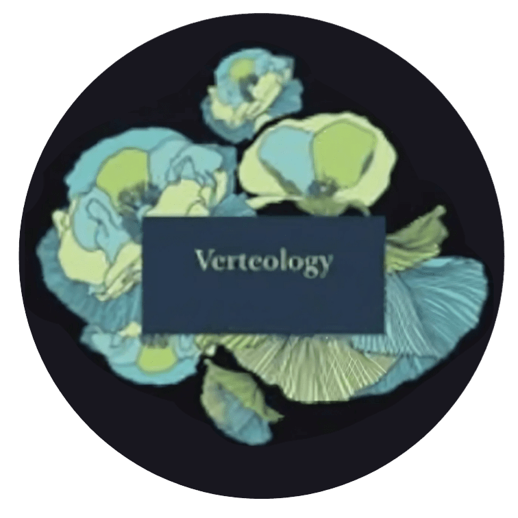 Verteology Salon