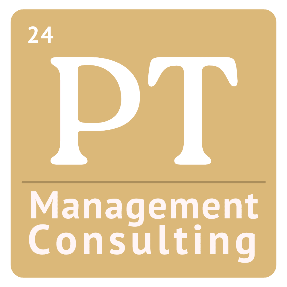 P Type Management Consulting