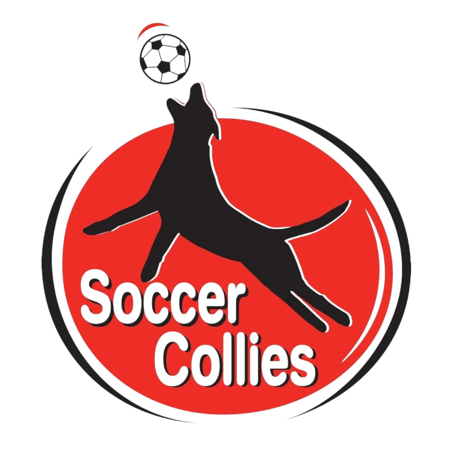 Soccer Collies