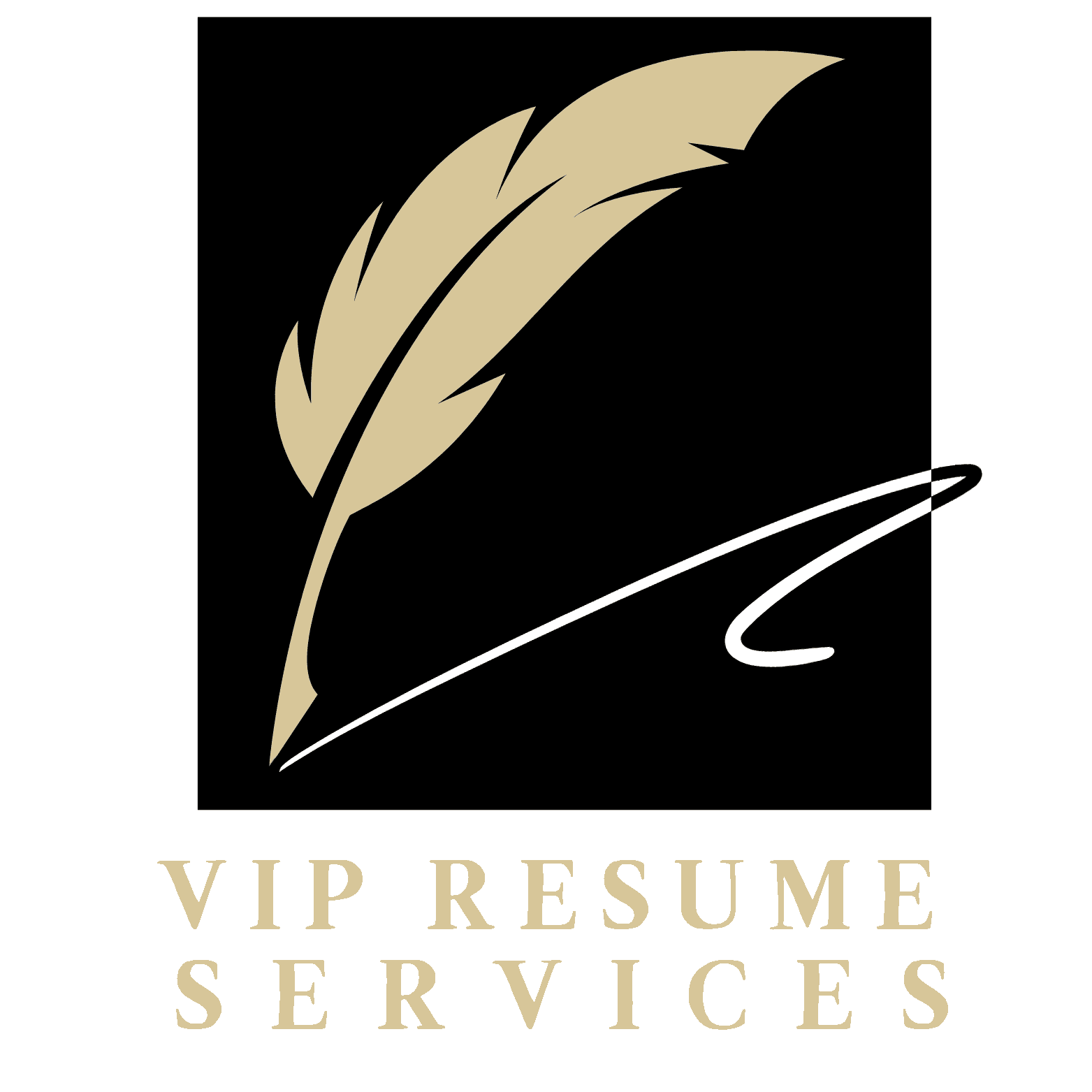 VIP Resume Services