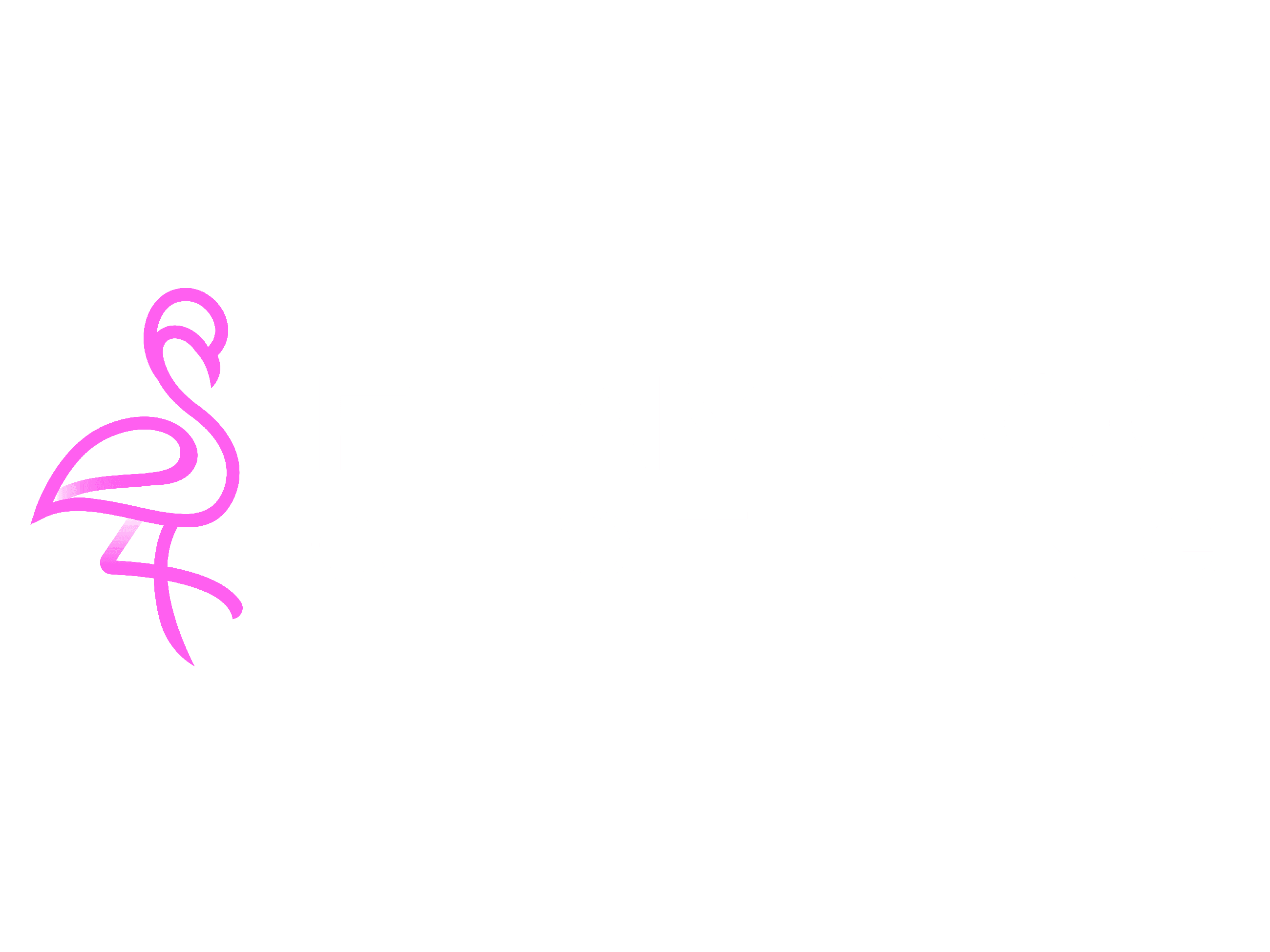 Flamingo Clothing