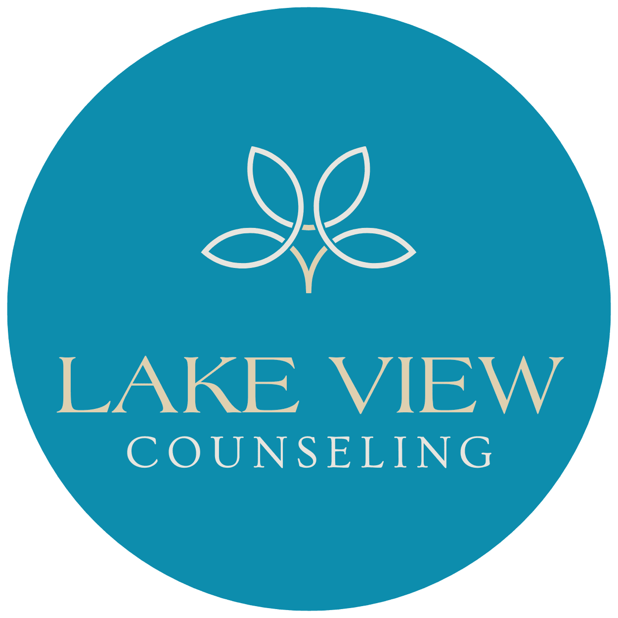 Lake View Counseling