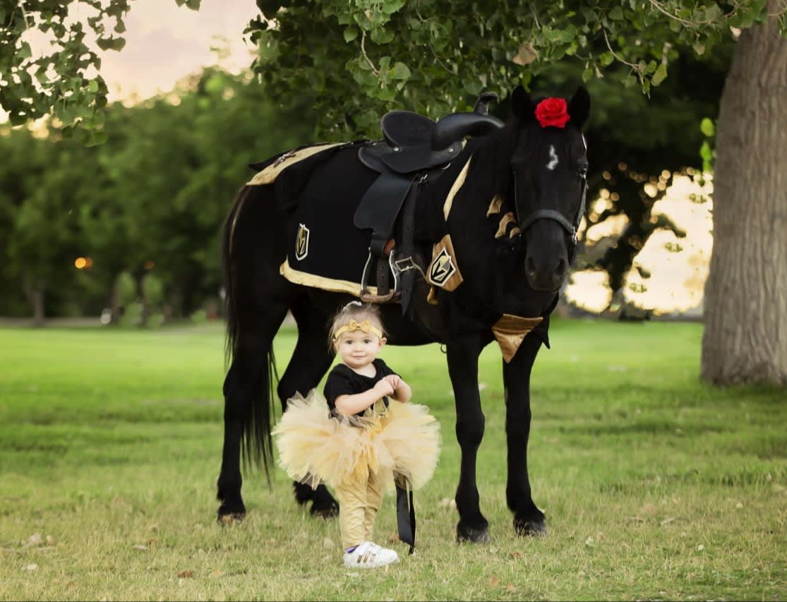 Pony Rent Barnyard On Wheels | Knight Pony Rentals | Hampton, VA