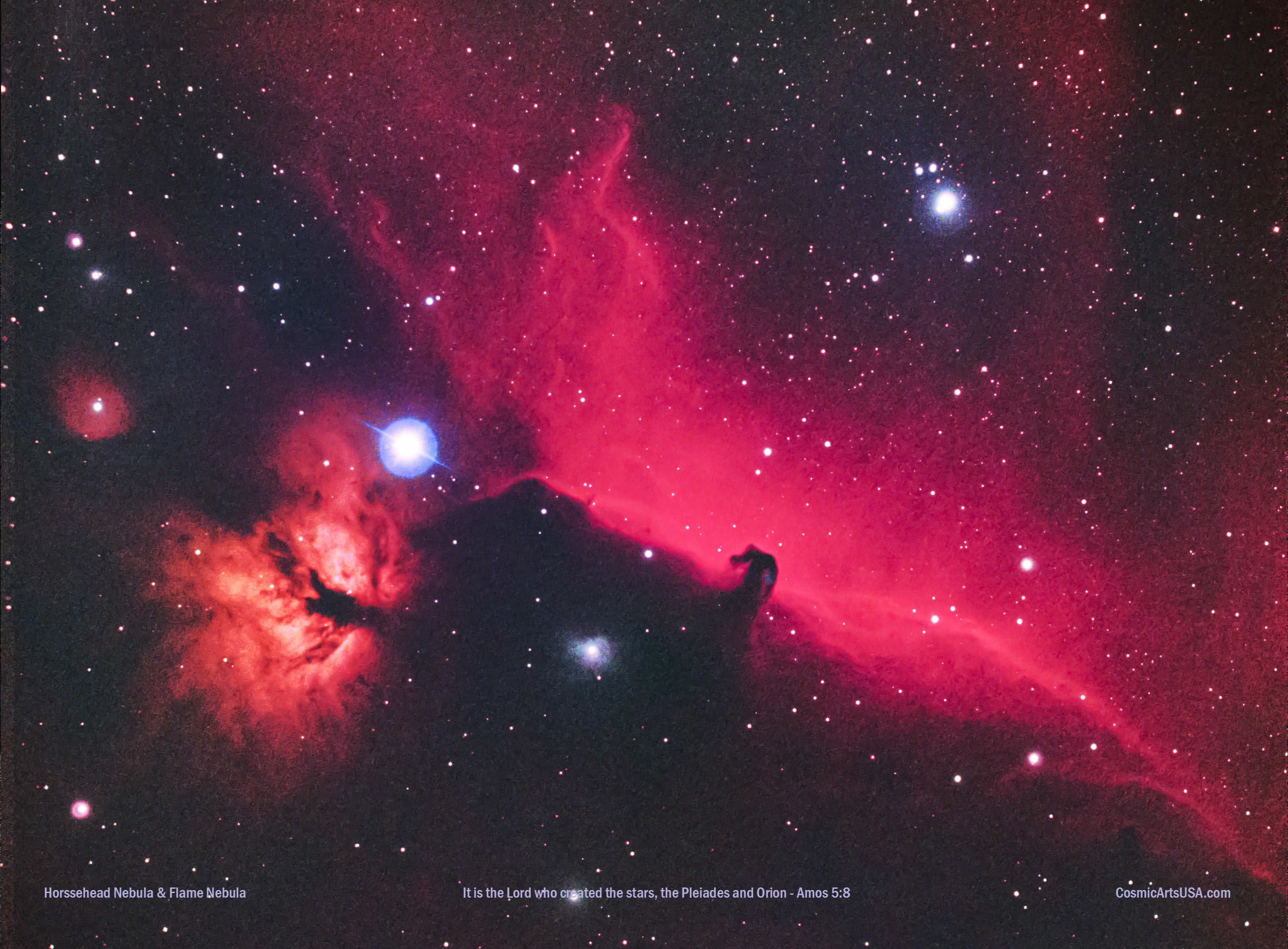 Horsehead Nebula Wall Art - Cosmic Canvas Print Wall Art - Cosmic
