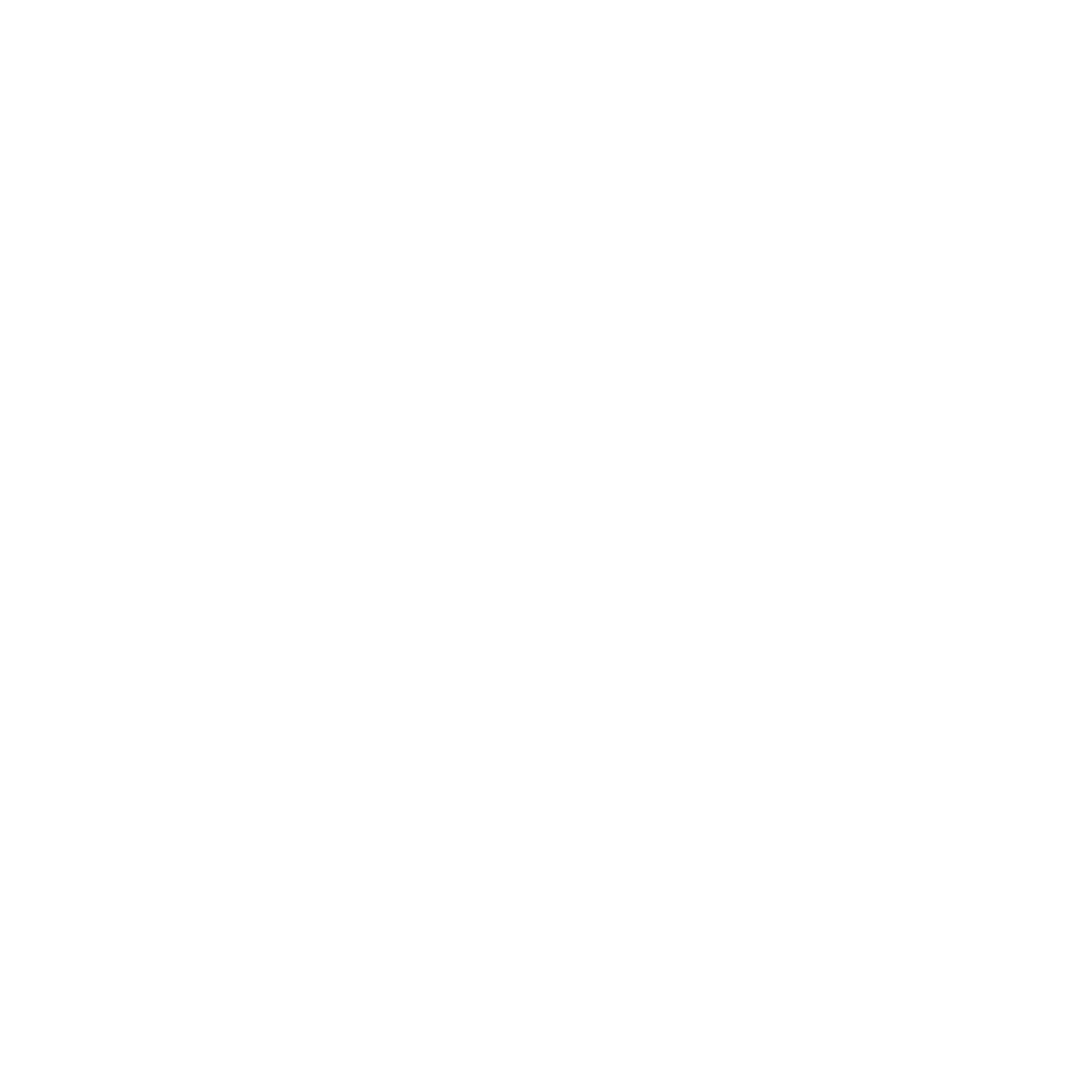 Maicol  Velarde Cerrón
