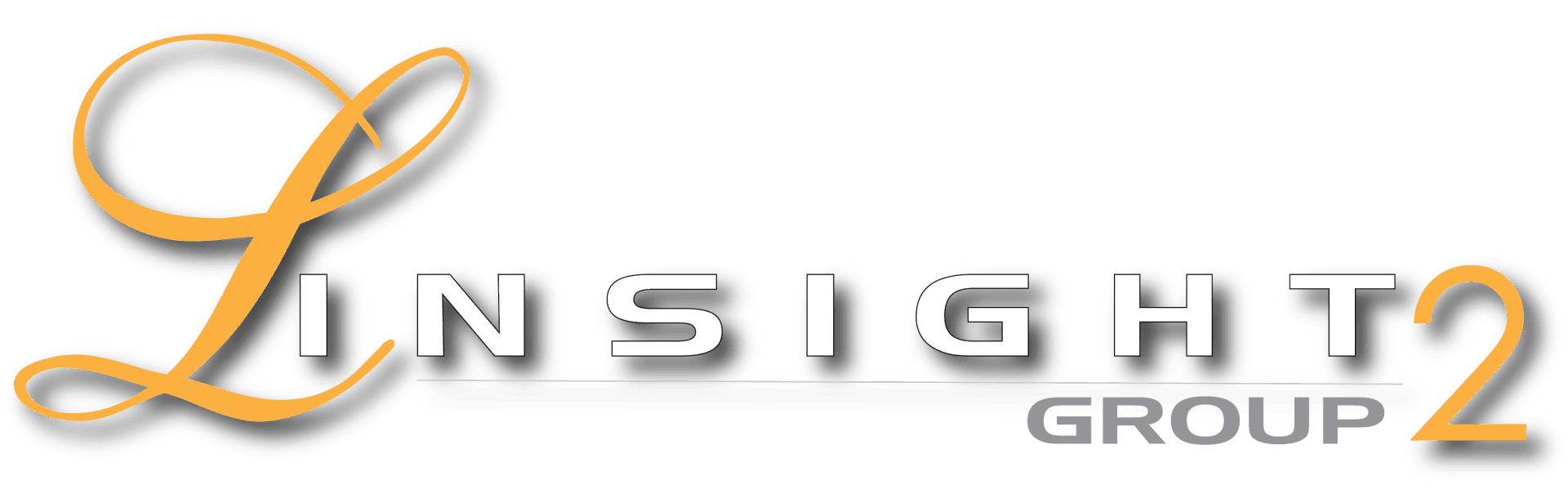 L Insight Group 2