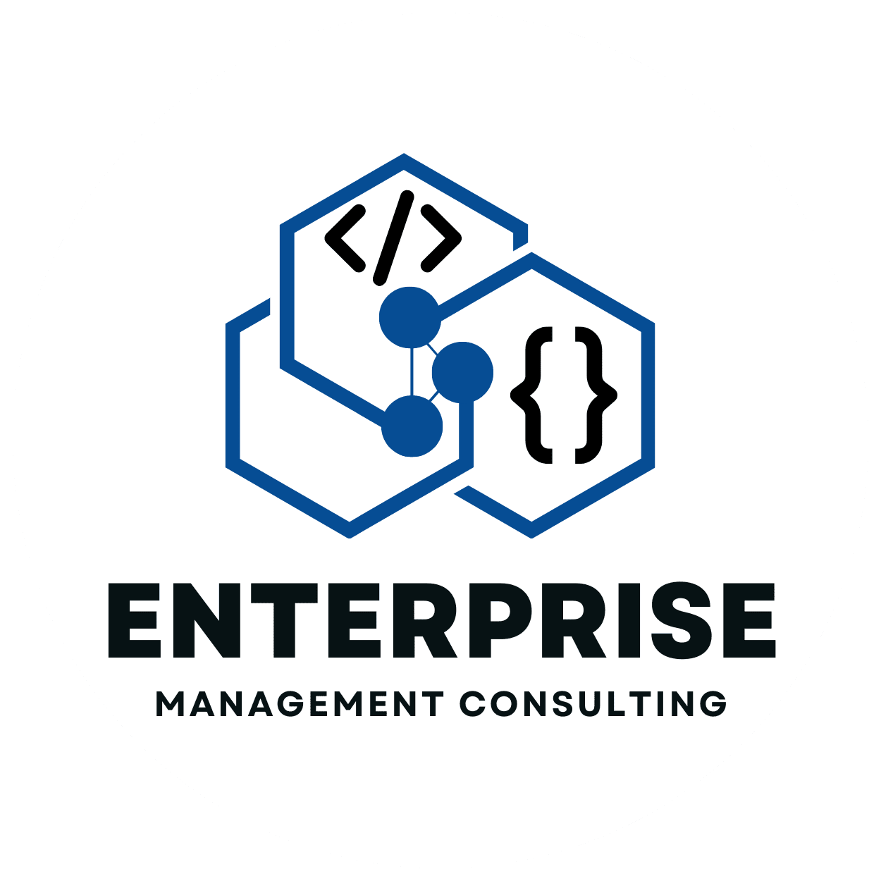Enterprise Management Consulting, LLC