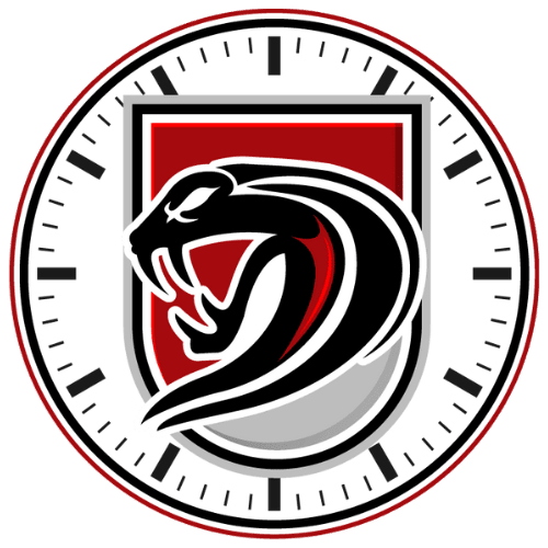 ViperWatches, LLC