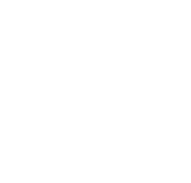 Estate Stagers