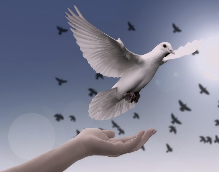 Heavenly Wisdom 2