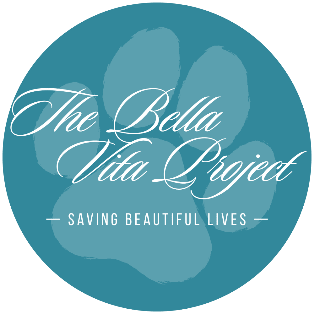 The Bella Vita Project