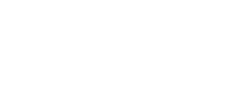 S. E. Jones Therapy