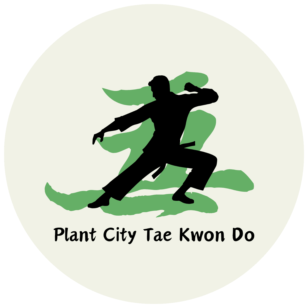 Plant City Tae Kwon Do