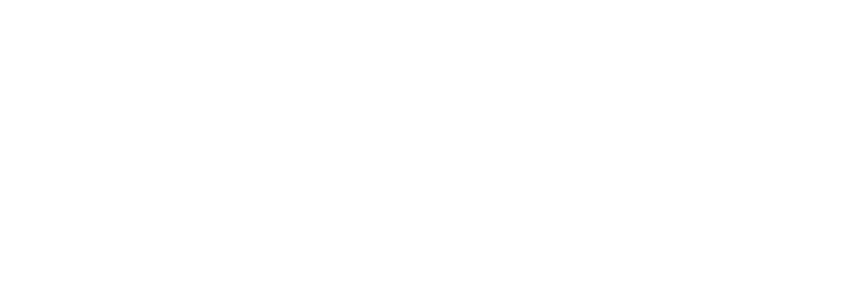 Signed & Sealed Mobile Notary & Apostilles