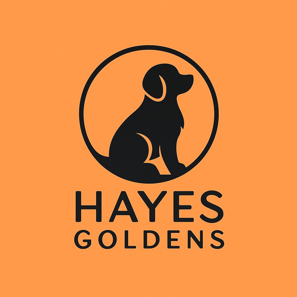 Hayes Goldens