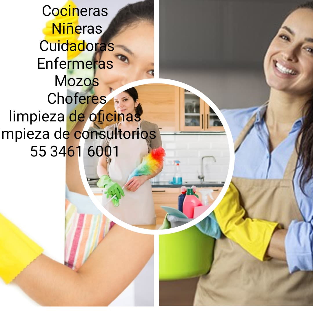 Servicios Domésticos 5534616001