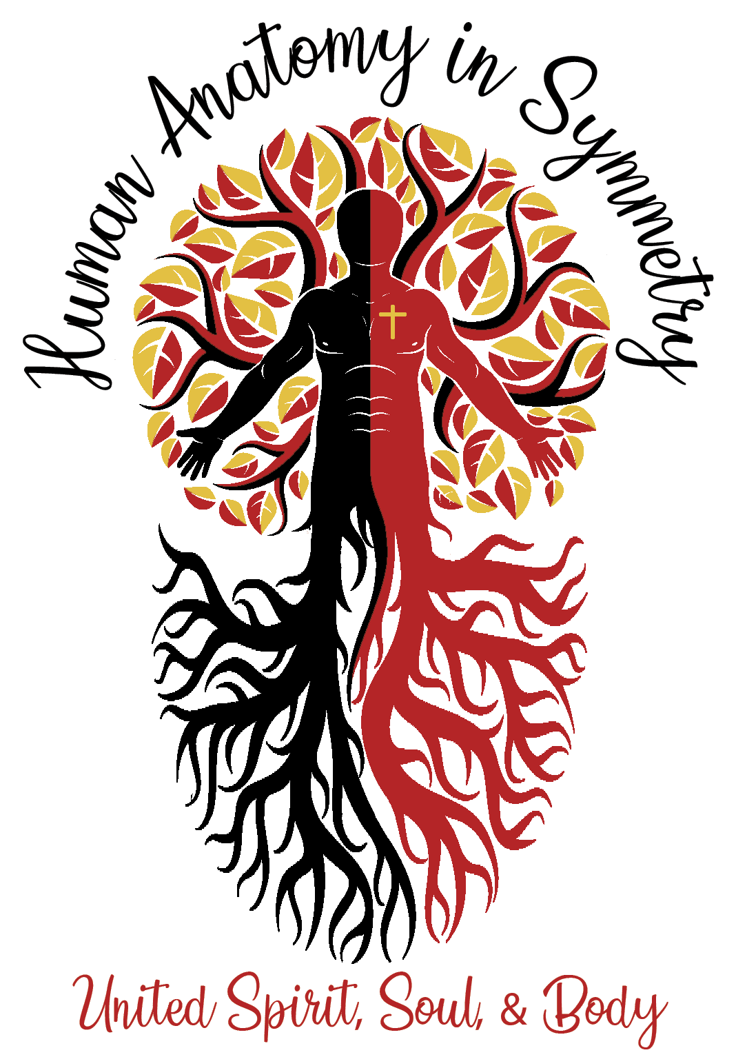 HUMAN ANATOMY IN SYMMETRY