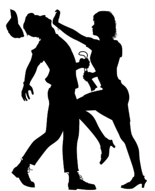 Fight Ready Females