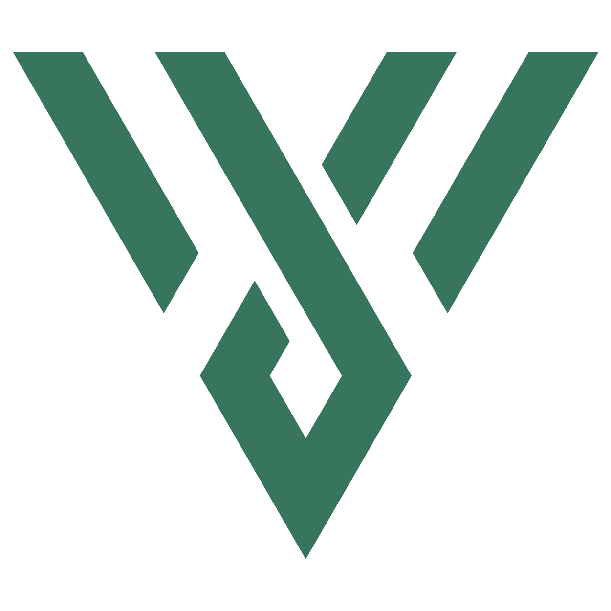 Veteran Process & Field Services, LLC