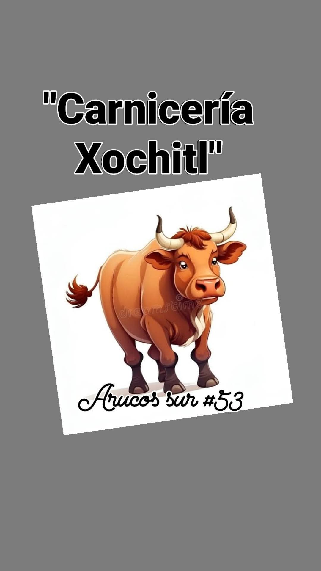 Carnicería Xochitl