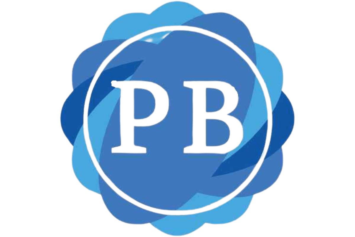 Professional Business and Tax Services