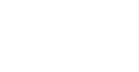 Flyboyzzz Consulting