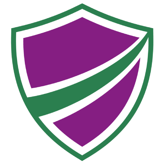 Pro Ins, Inc.
