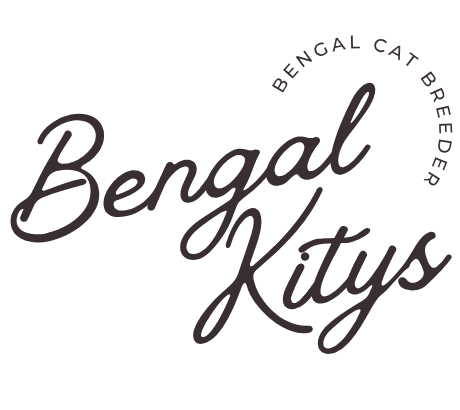 Bengal Kitys