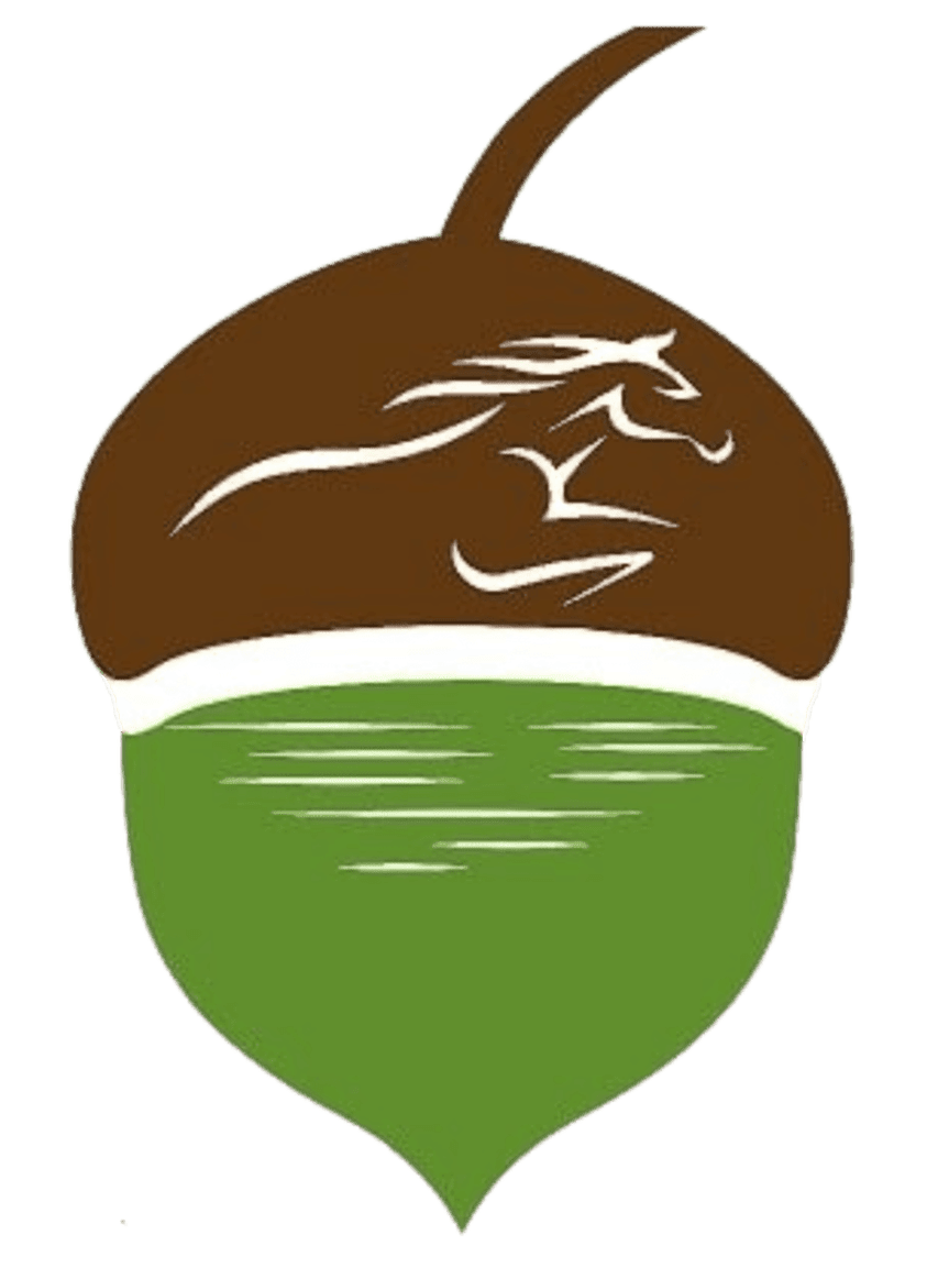 Little Acorn Ranch, LLC
