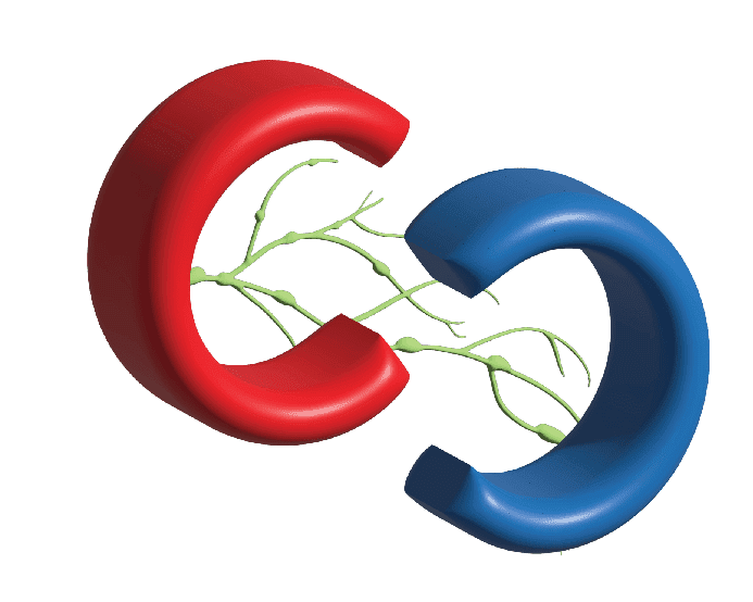 CC Vascular Medicine and Imaging