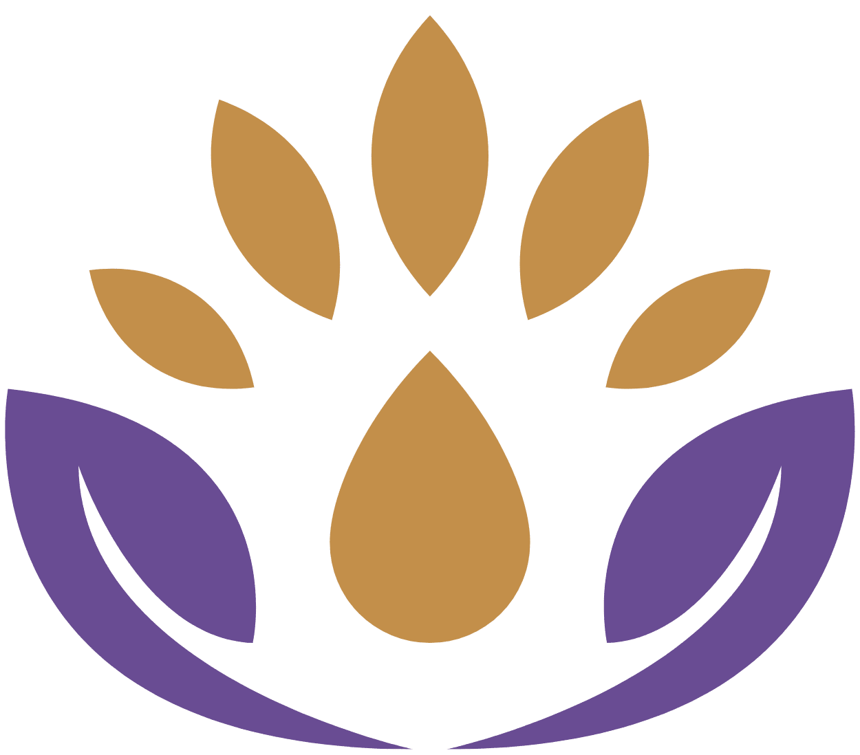 Sankofa Wellness Therapy