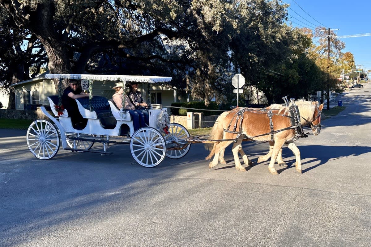 Carriage Rd Carriage Rides Romantic Ride in the White Carriage - Carriage Rides - seats 4 - Wagon ...
