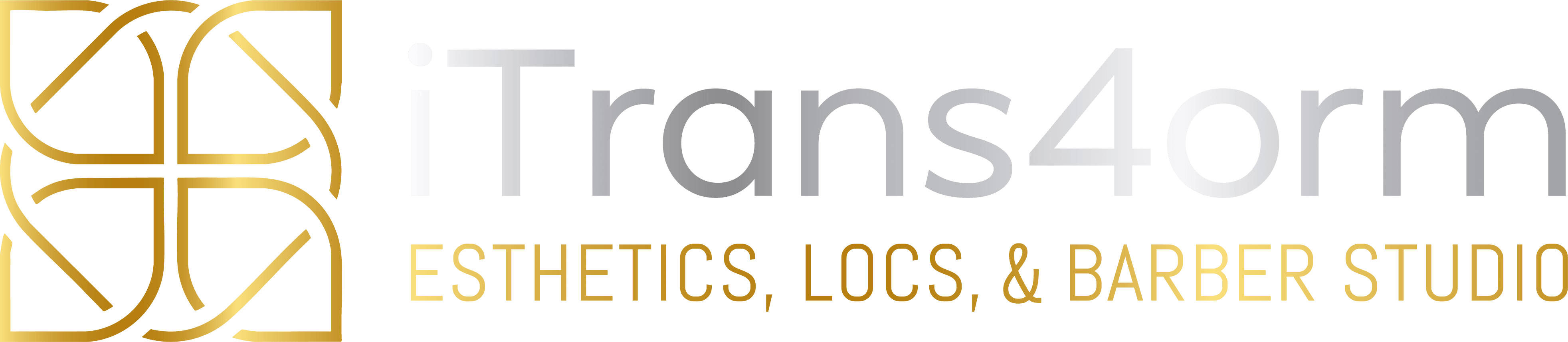 iTrans4orm, LLC