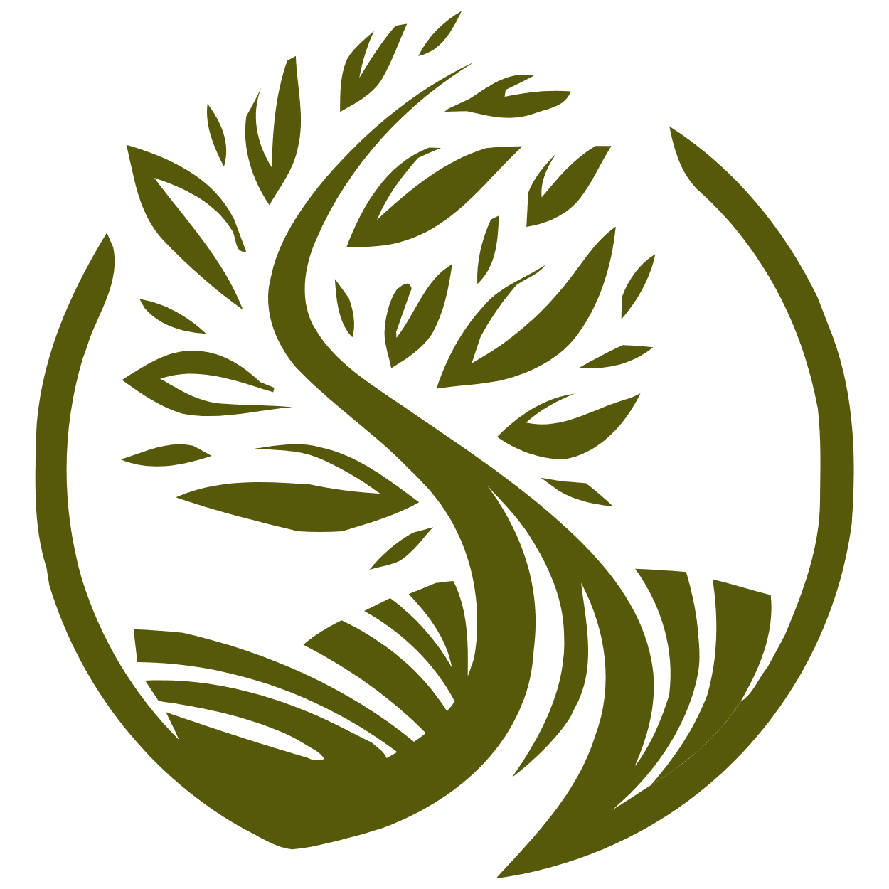 Bigherms Herbal Solutions