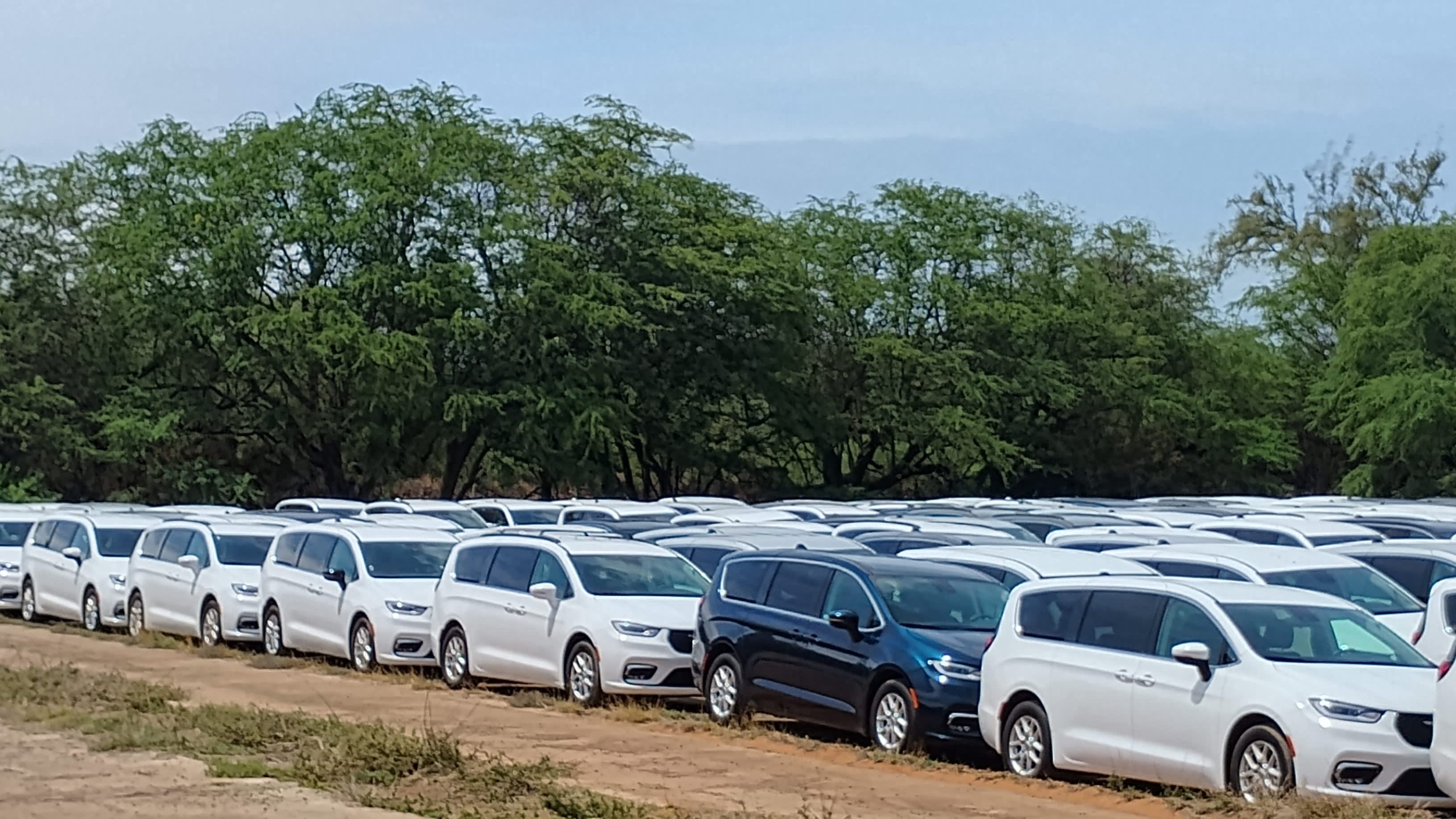 Maui Car Rental Minivan Recall: Prices Surge Over $200/Day