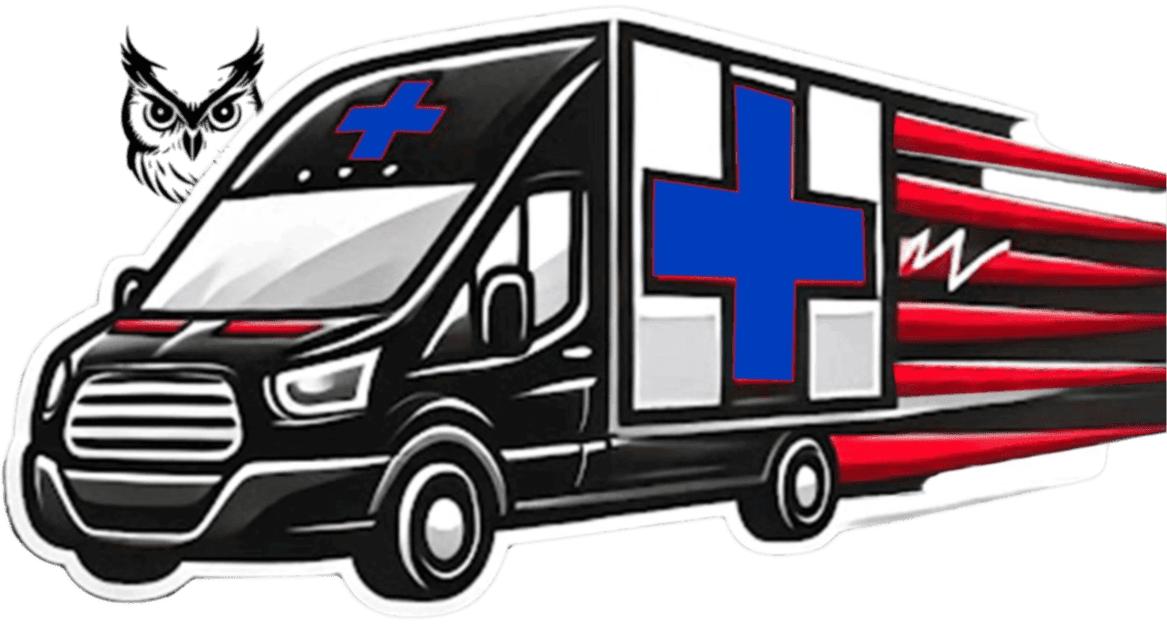 Wise Logistics and Medical Courier Services, LLC