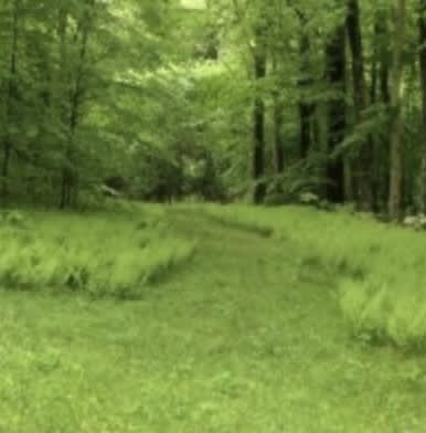 More Fruit of Meditation